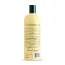 11145ProfessionalReplenishingConditioner_2_600x.webp