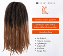 sensationnel-soft-n-silky-afro-kinky-twist-braid-all-colors-969227_778x700.jpg.webp