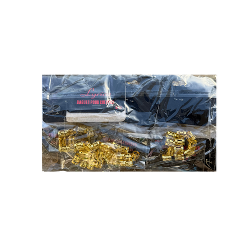 [LYR2559] Lyrica Metal Hair Rings Gold